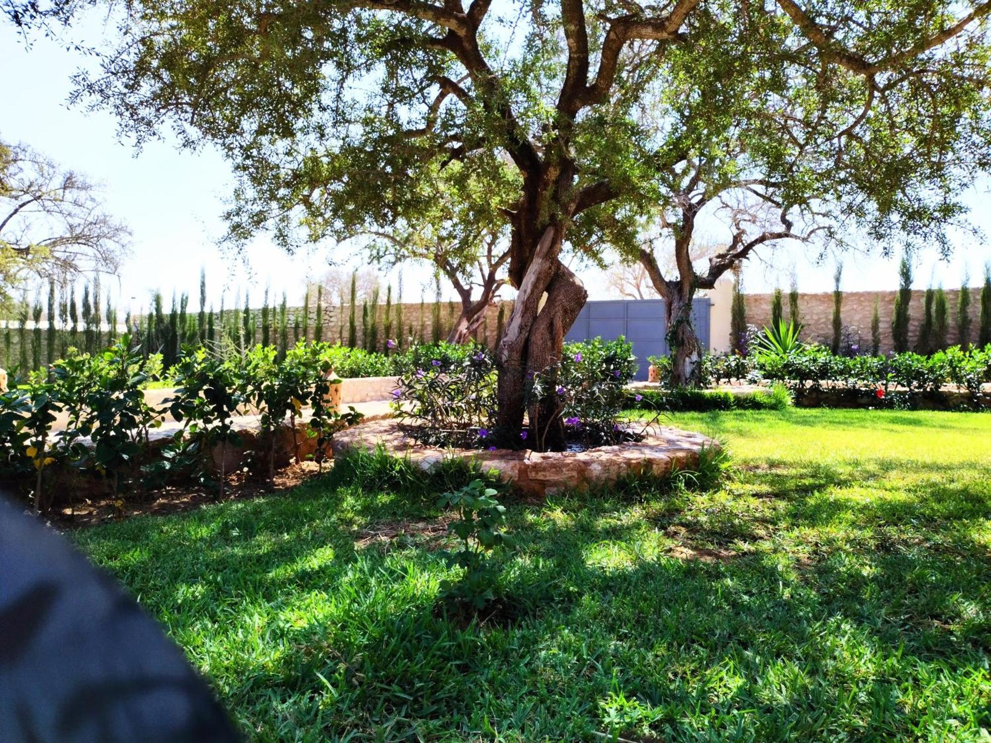 אסאוירה Villa Iyad מראה חיצוני תמונה
