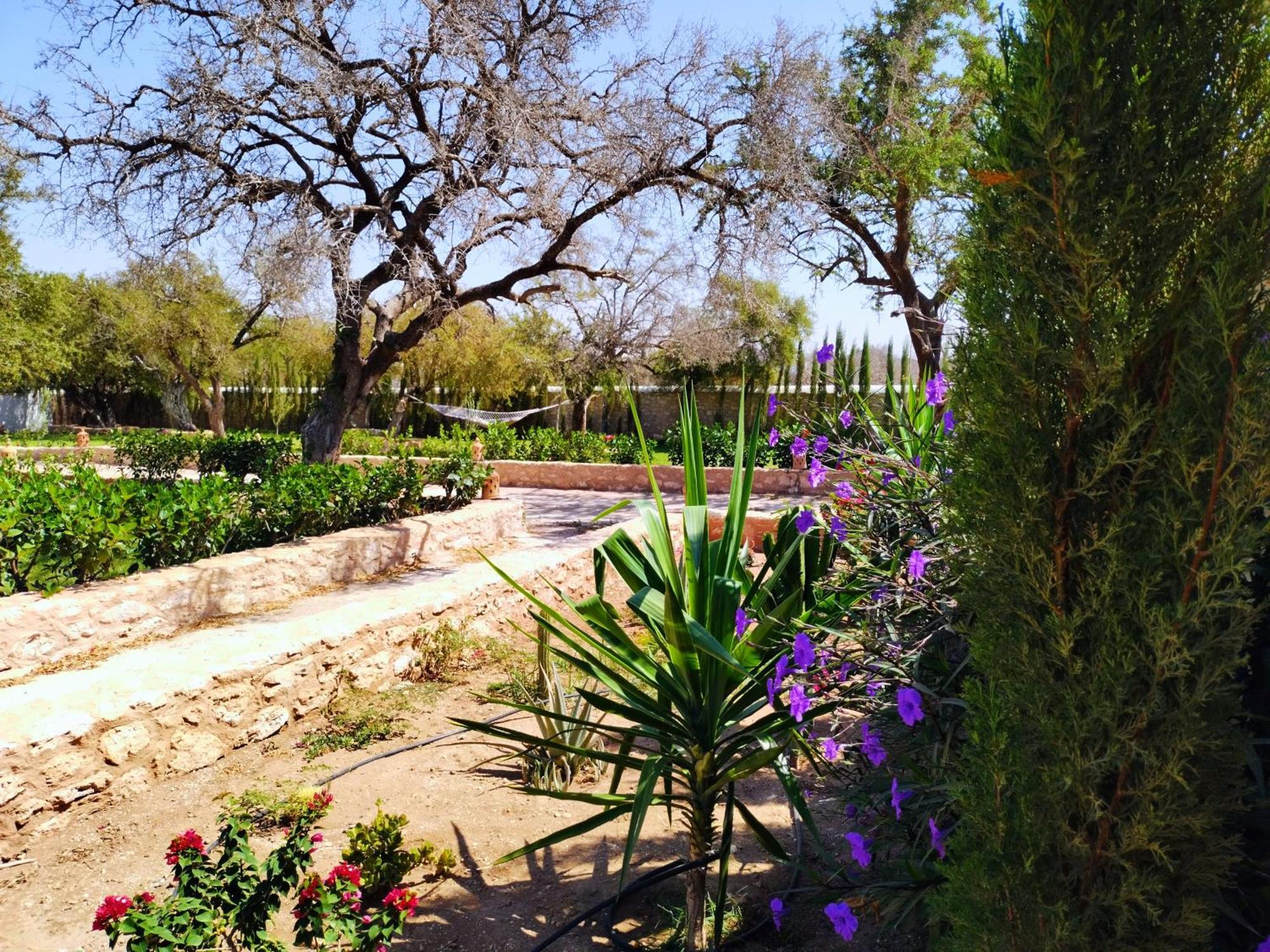 אסאוירה Villa Iyad מראה חיצוני תמונה