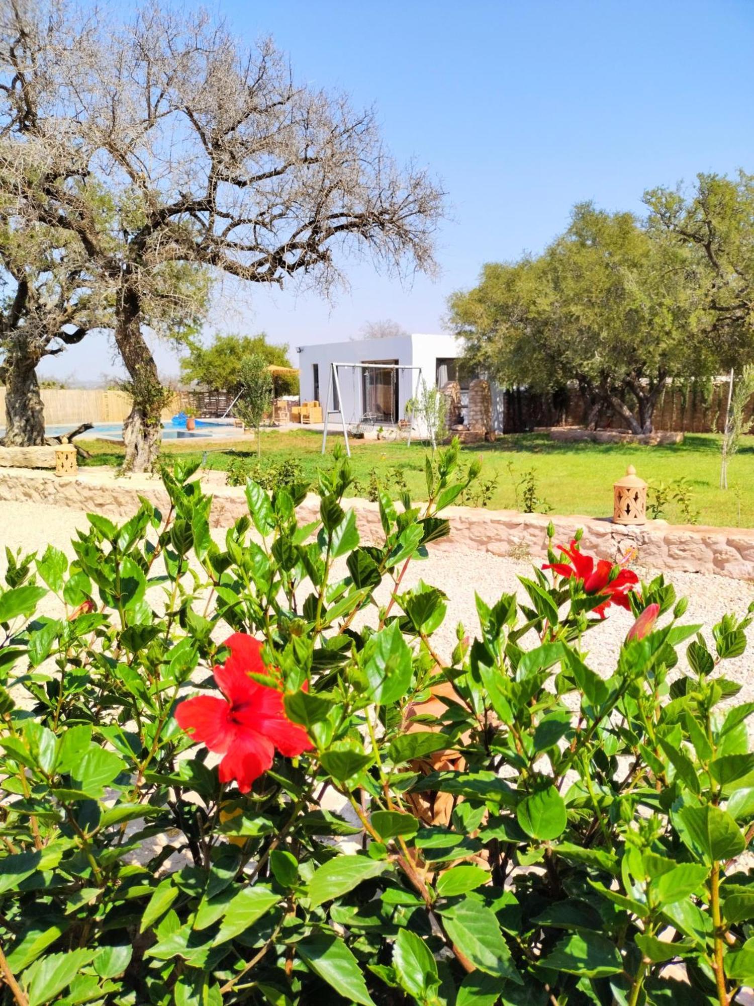 אסאוירה Villa Iyad מראה חיצוני תמונה