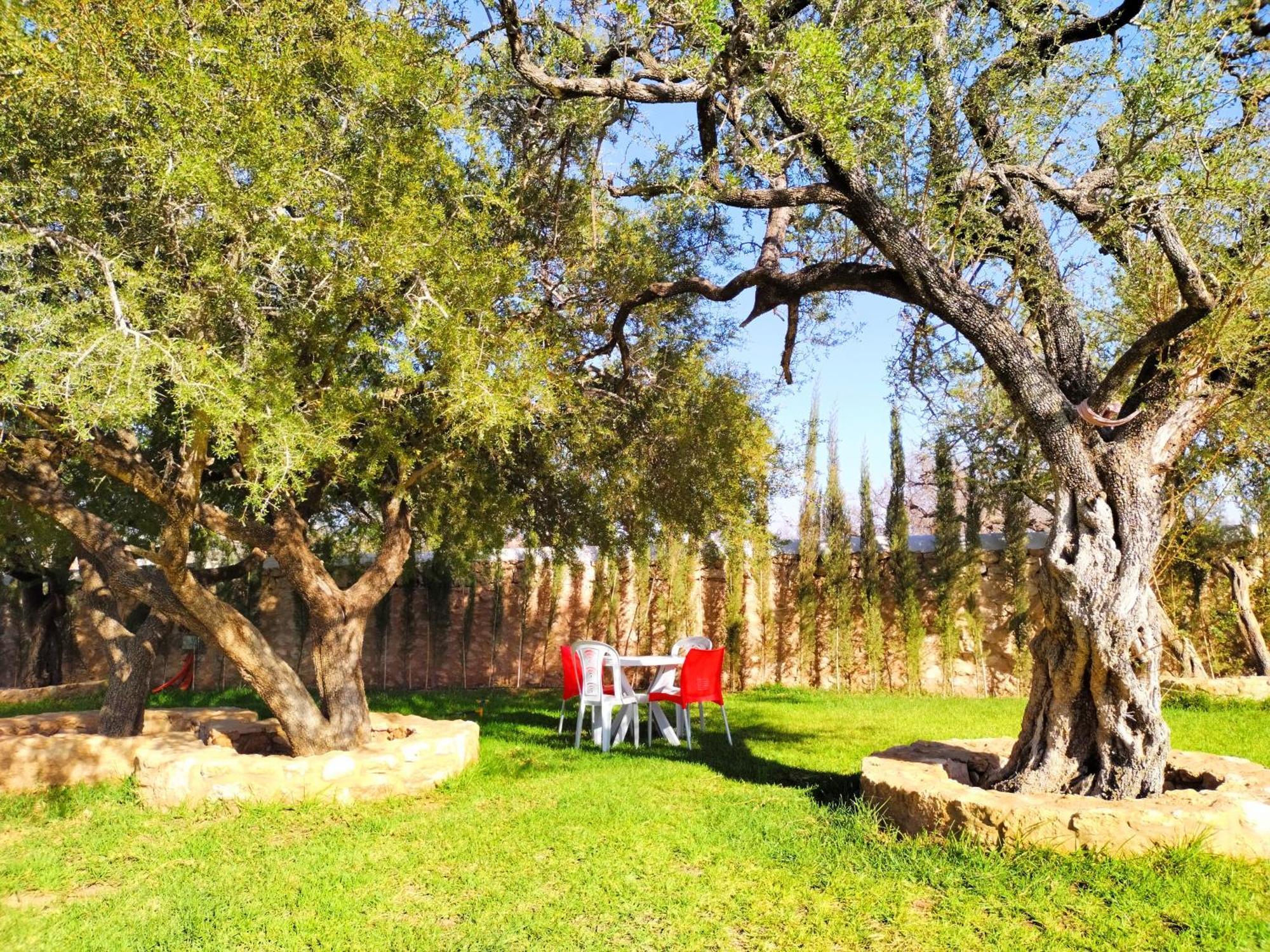 אסאוירה Villa Iyad מראה חיצוני תמונה